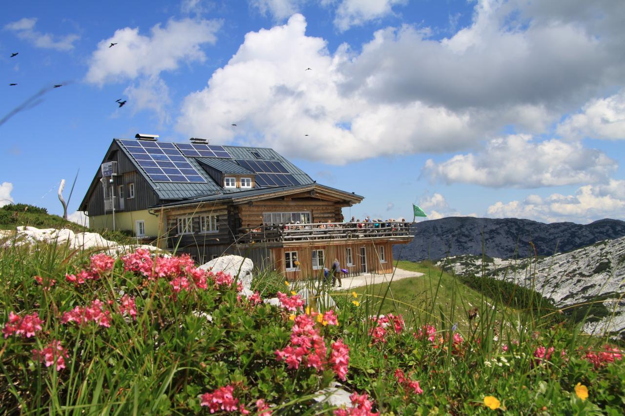 Lodge Am Krippenstein Obertraun Kültér fotó